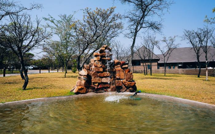Shekinah  Lion and Game Lodge 