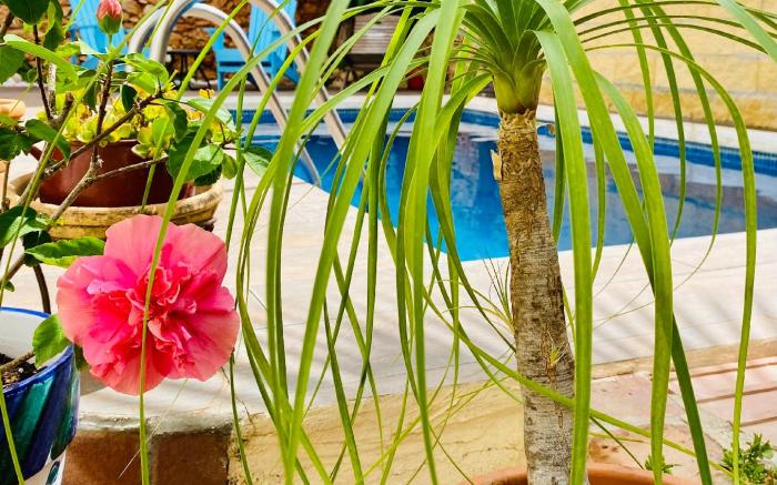 Boutique Hostal Lorca