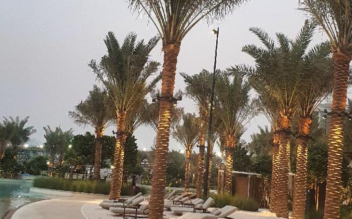 Luxury 1BR Retreat @ Vida Residences - Creek Beach