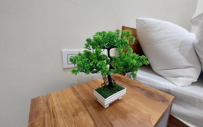 COEANA BOUTIQUE STAYS