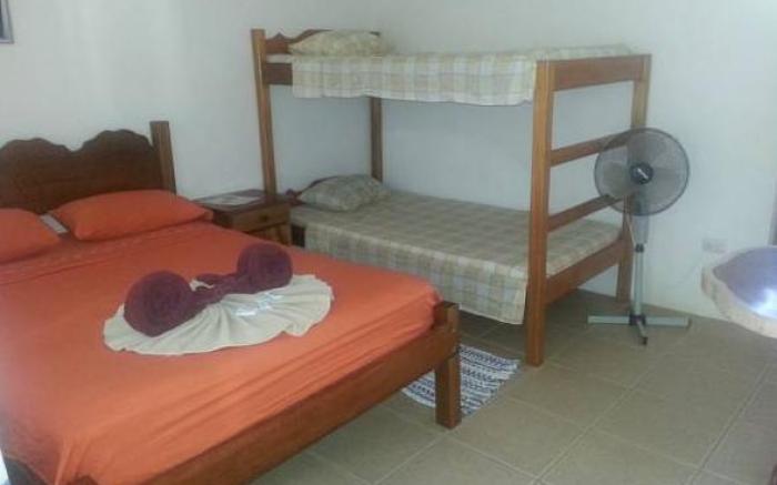 Cabinas Pura Vida B&B and Tour Operator