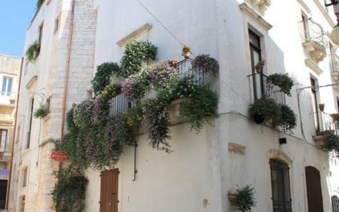 Casa Riccardi