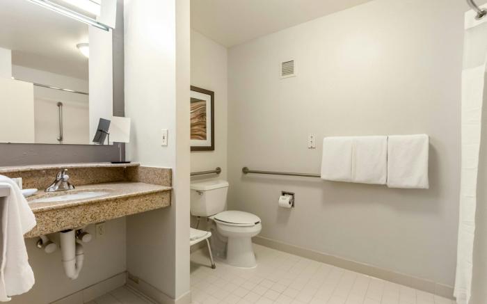 Courtyard by Marriott Dallas DFW Airport South/Irving