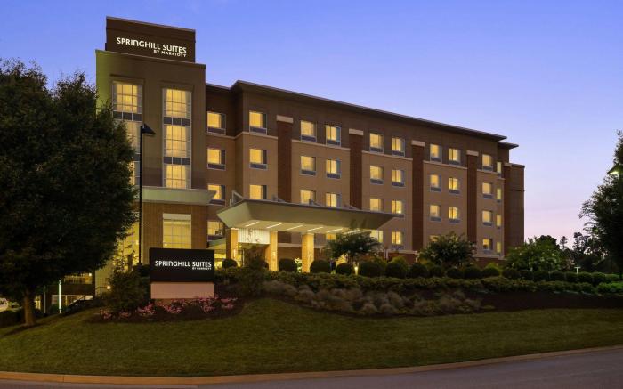 SpringHill Suites by Marriott Roanoke