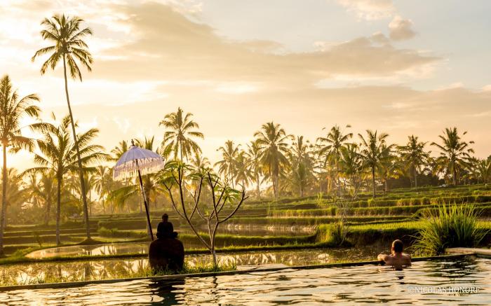 Hati Padi Cottages