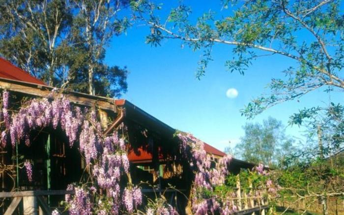 Cedar Creek Cottages