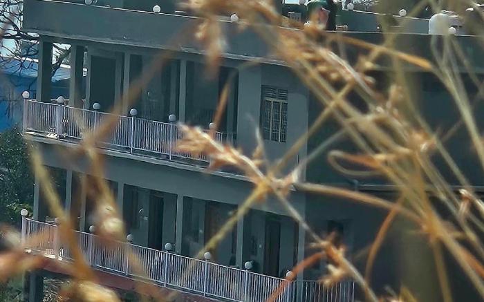 Humming Bird By Aaryam