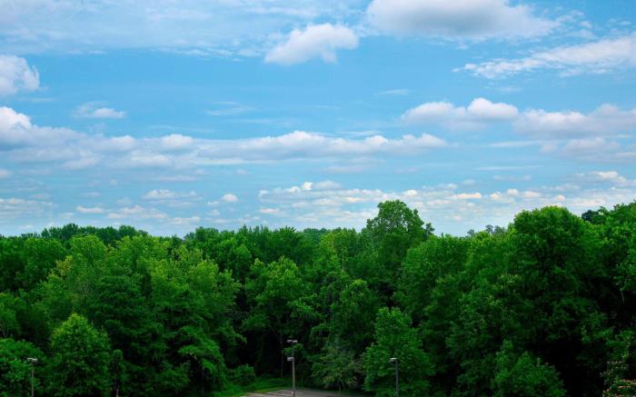 Sheraton Charlotte Airport Hotel