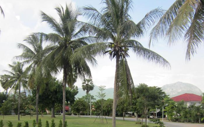 Baan Golden Resort