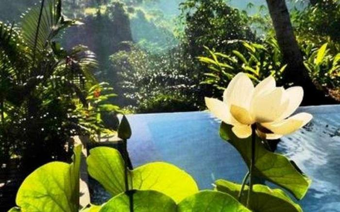 Kupu Kupu Private Villa