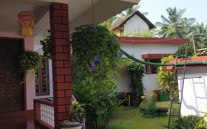 Airport to Comfort near International Airport