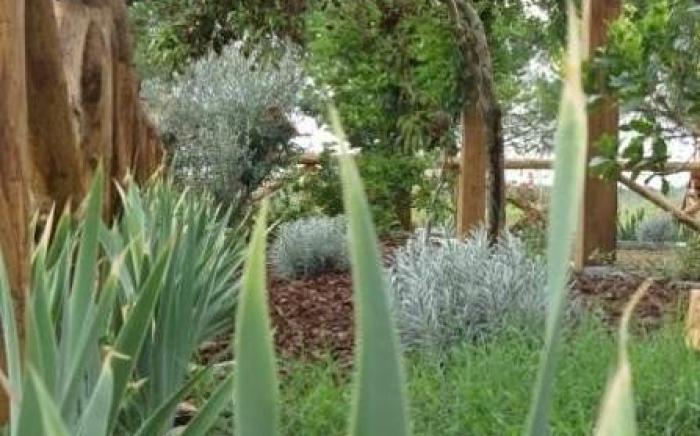 Agriturismo Le Baccane