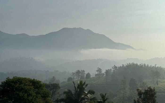 LUSH HILLS BY BENCHMARK