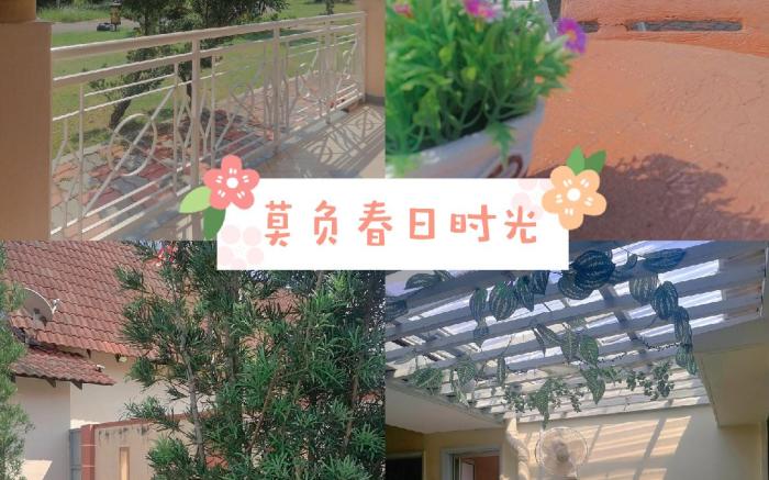 Secret Garden