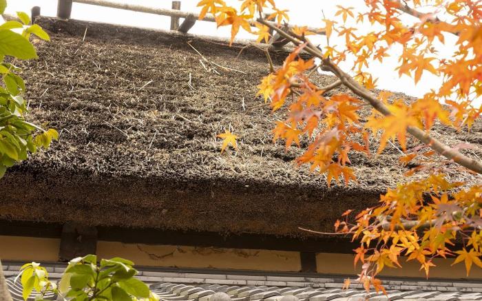 Ryokan Sagiritei - Adult Only
