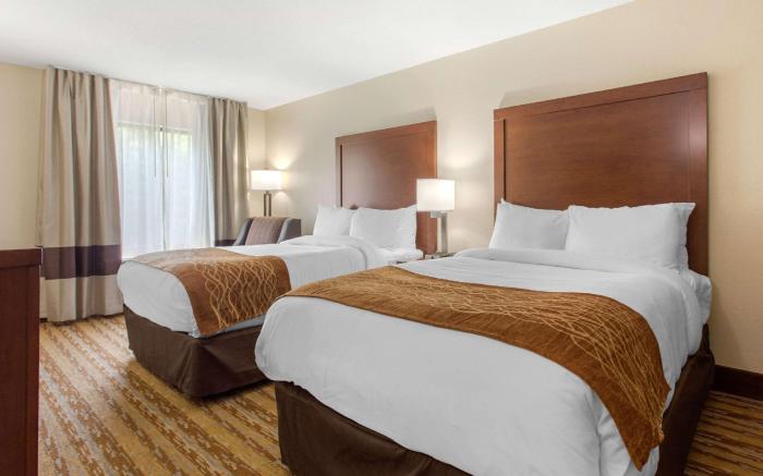 Comfort Inn Asheville East-Blue Ridge Pkwy Access