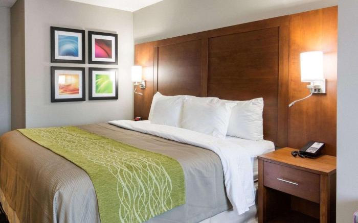 Quality Inn & Suites Ashland near Kings Dominion