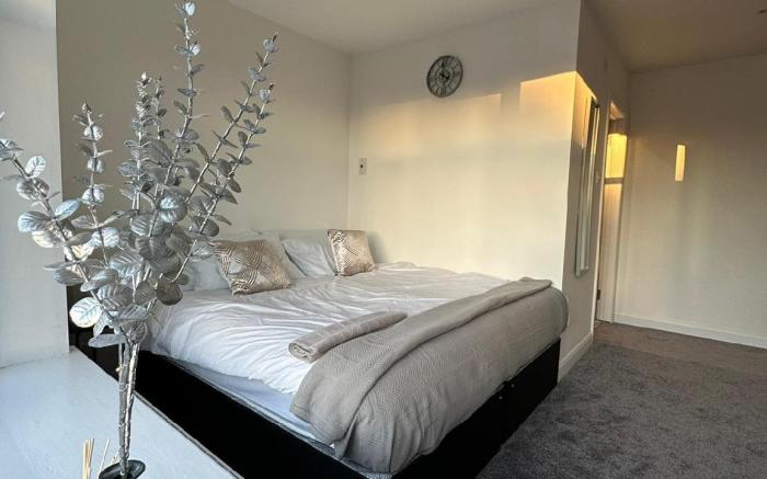 Alban Suites