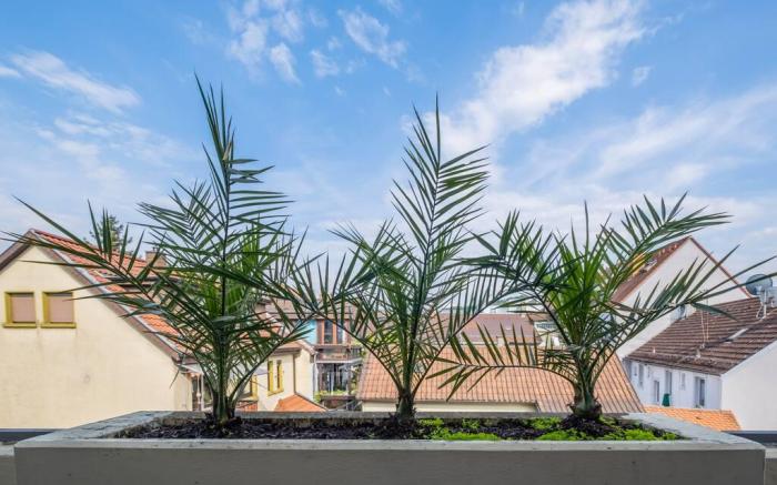 Studio Fayence - EMMA, Netflix, WiFi