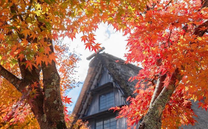 Sansou Shikian Ryokan