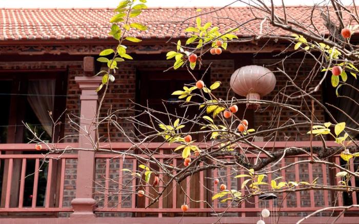 Tam Coc Ngoc Linh Bungalow Ninh Binh
