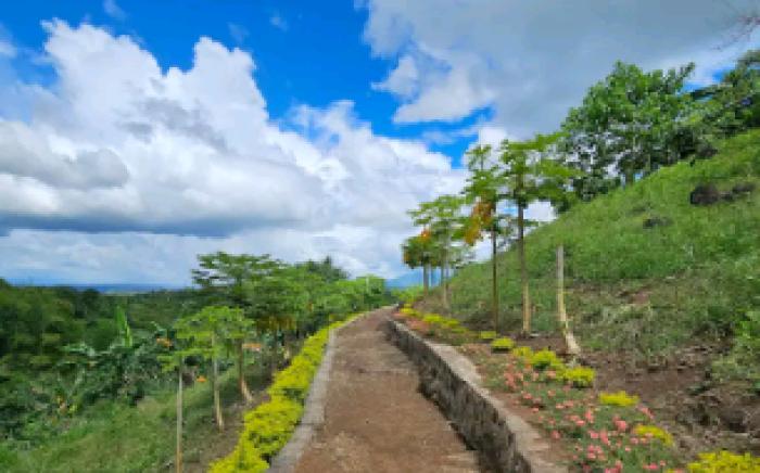 Hallara Campfarm 