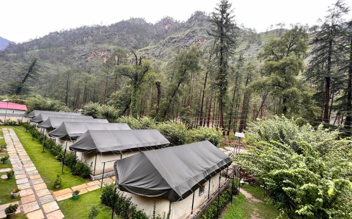 North Deodar Camps, Kasol