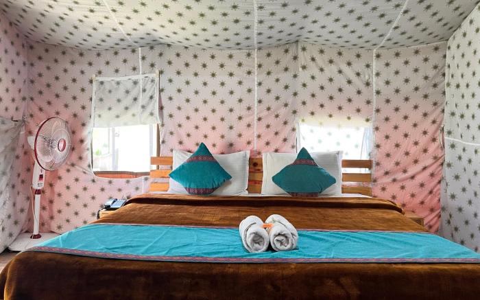 North Deodar Camps, Kasol