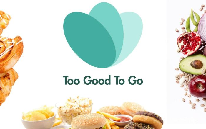 ibis Maisons Laffitte