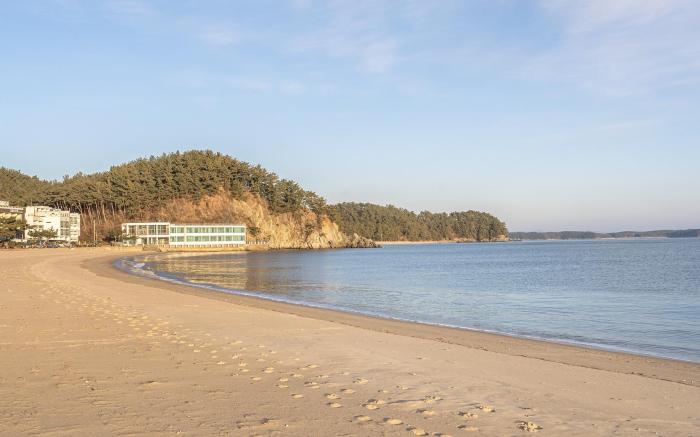Taean yeonpo 2020 pension