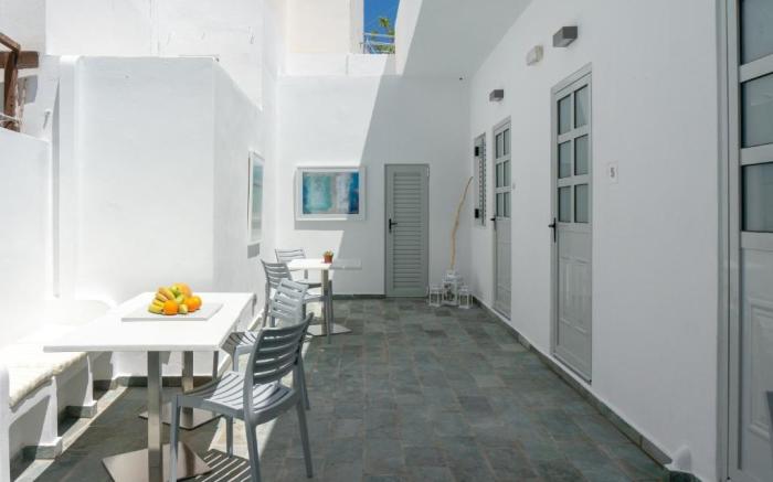Pelican Paros