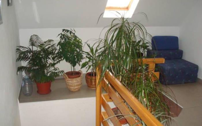 Guest House Ljubica