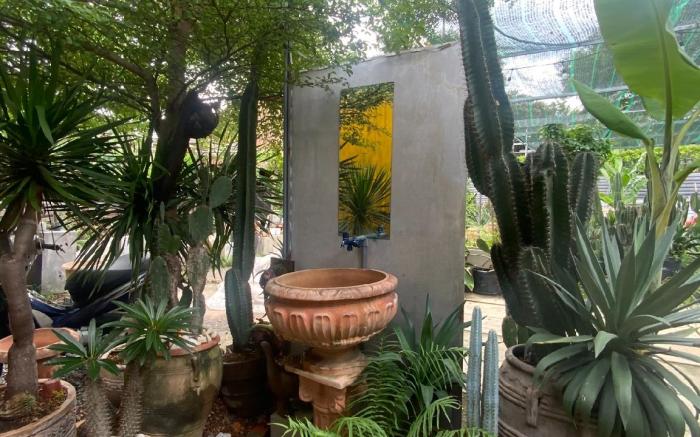Cactos Bar & Homestay