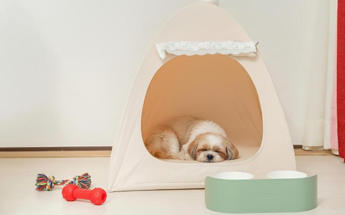 Pocheon luxjay pet Pension