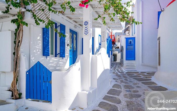 Eleanna's Mykonos