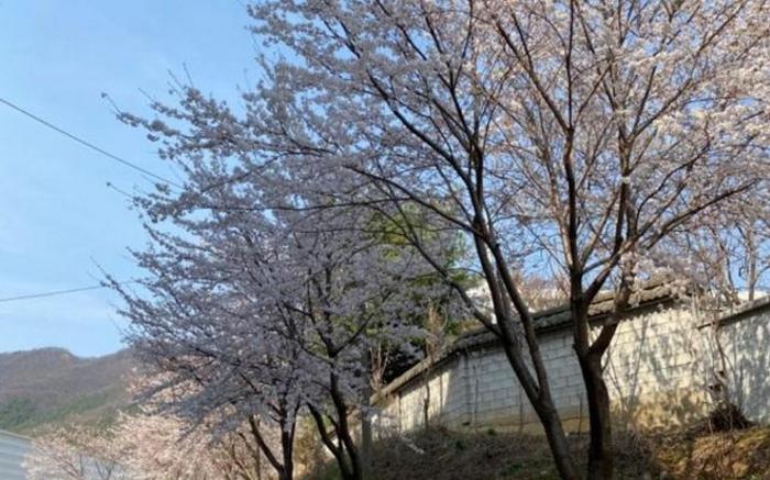Cheonan Botanic
