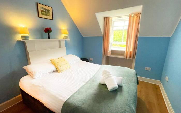 Catcune Family Suite