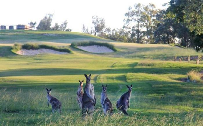 Riverside Oaks Golf Resort