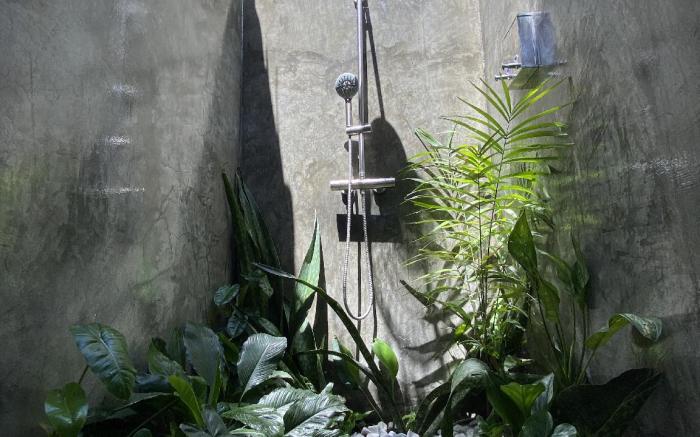 Wild Monkeys Hostel