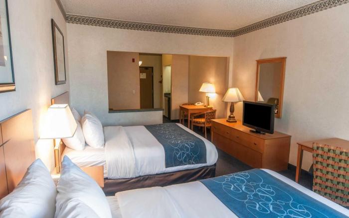 Comfort Suites   University
