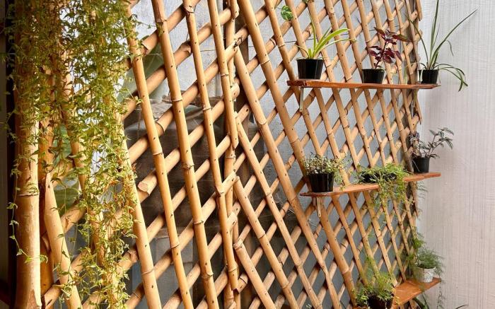 Suzzi Homestay