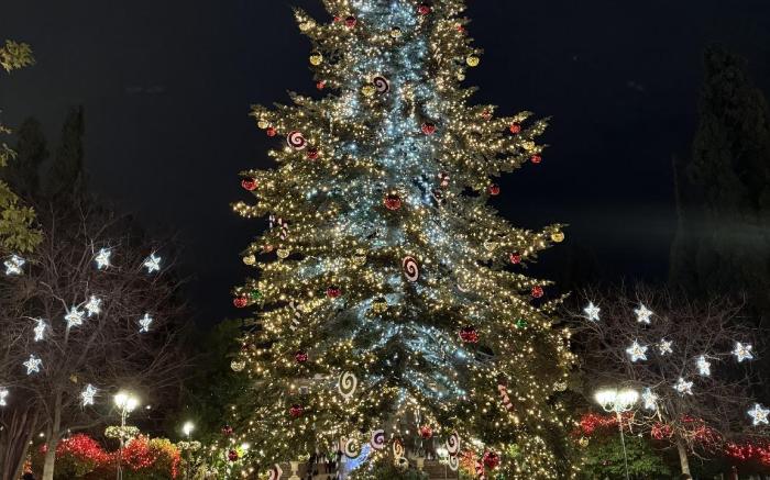 Voulis Best Global Home