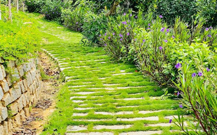 Mimoza Homestay Cau Đat