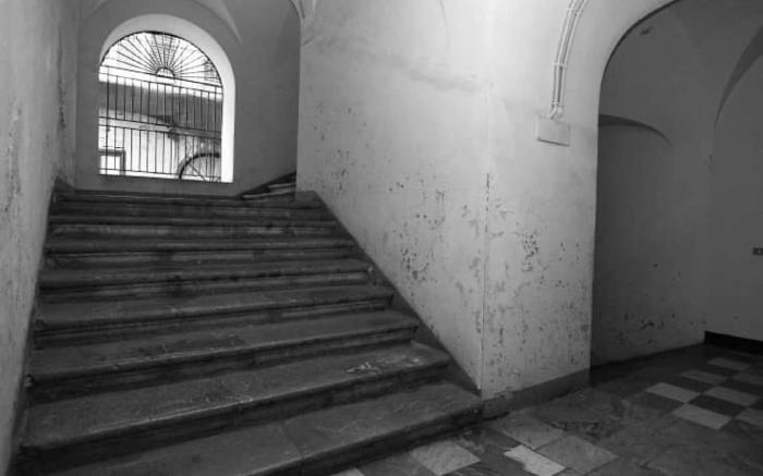 Terrace In The Historic Center In Palermo pino