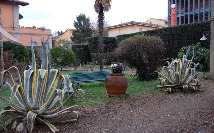 B&B Antica Piazza dei Miracoli