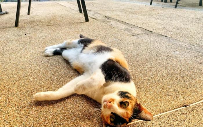 Beautiful Pool Villa King Room