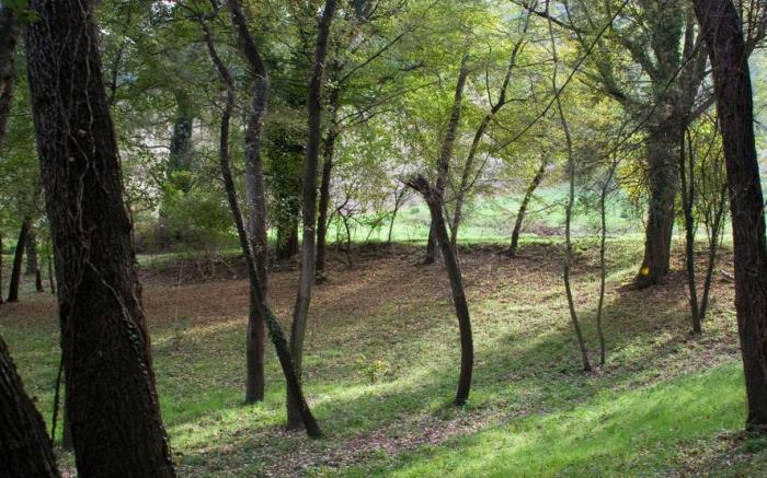 Agriturismo Biologico Villa Rosa