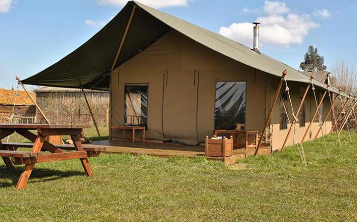Dawn Chorus Holidays Tents