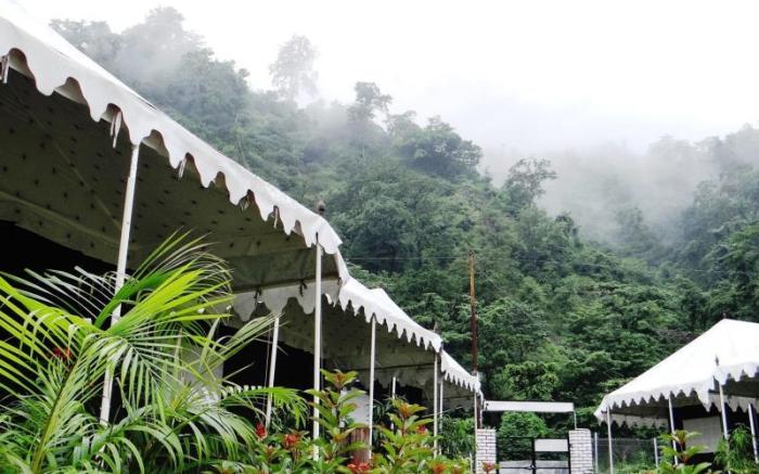Camp Aqua Forest