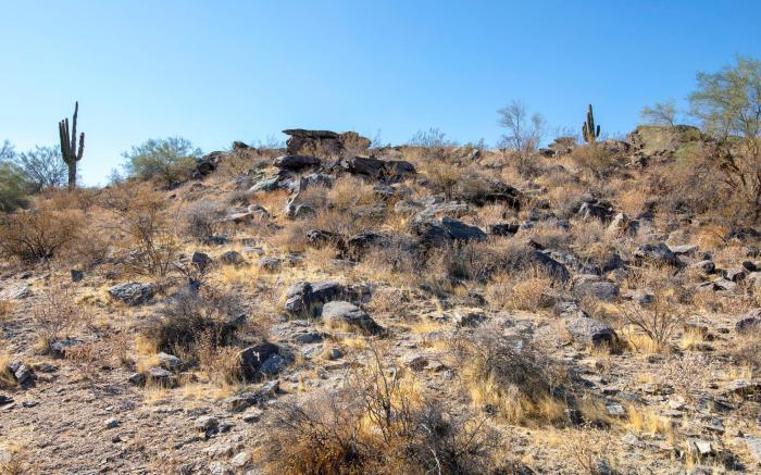 WorldMark Phoenix South Mountain Preserve
